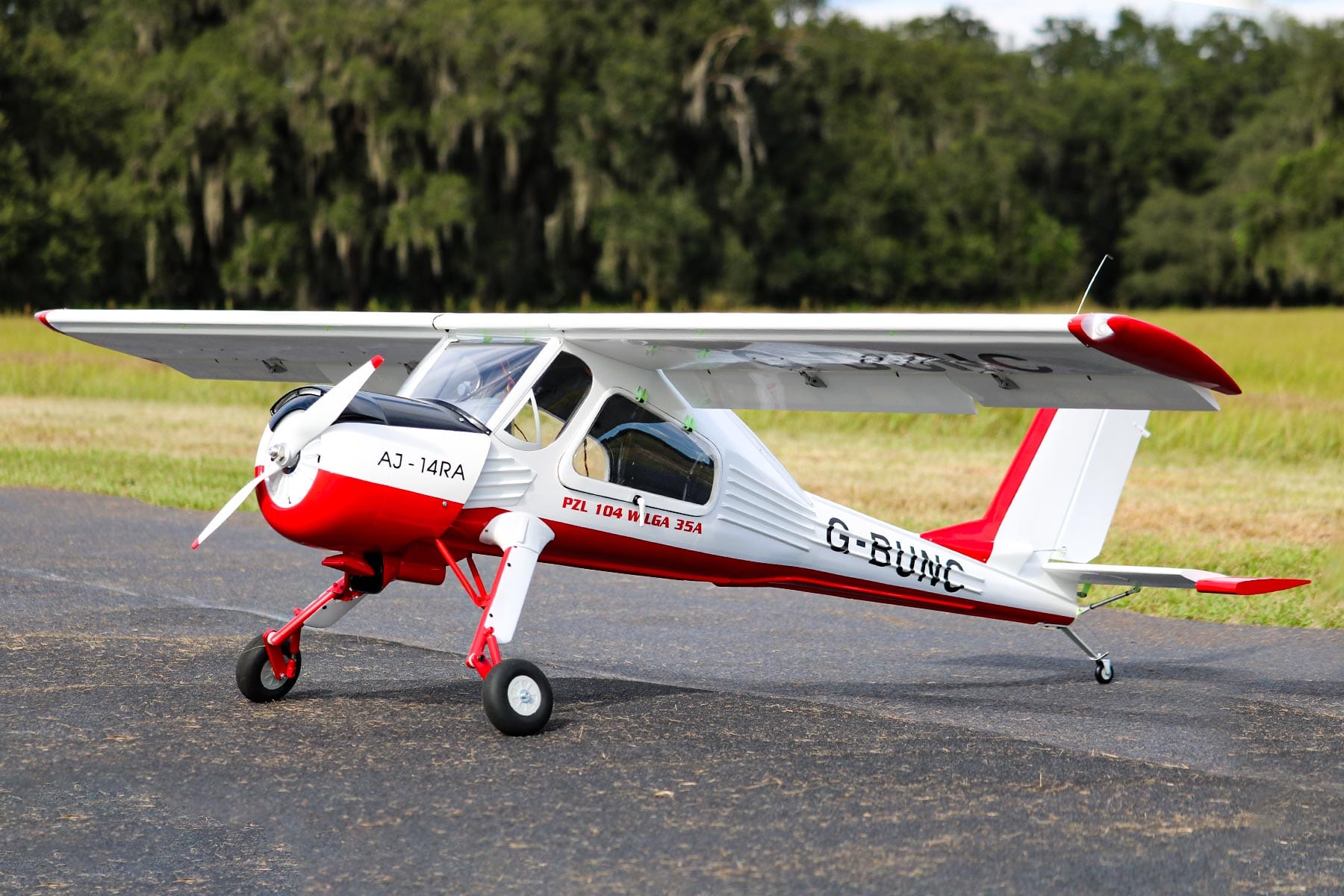Wilga rc plane deals