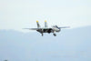 Freewing F-14 Tomcat Twin 80mm EDF Jet - PNP - (OPEN BOX) FJ30812P(OB)