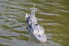 Bancroft Perry-class 1/100 Scale 1350mm (53.1") US Navy Guided Missile Frigate - RTR BNC1070-003