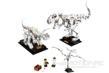 Load image into Gallery viewer, LEGO Ideas Dinosaur Fossils 21320
