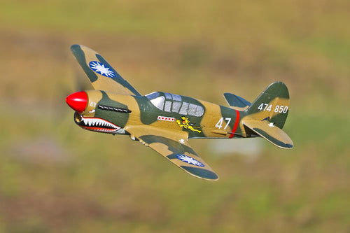 Skynetic P-40 EPP with Gyro 400mm (15.7