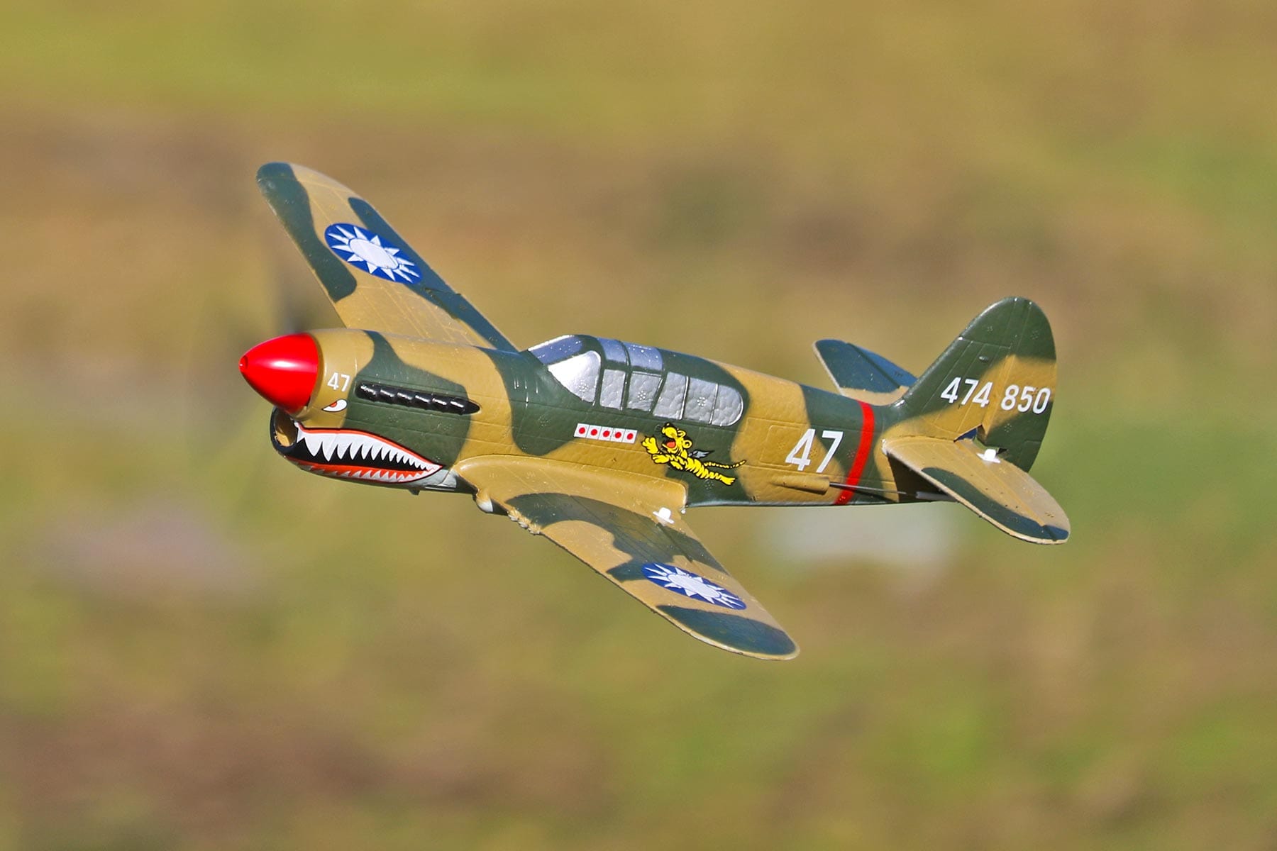 Skynetic P-40 EPP with Gyro 400mm (15.7