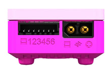 Load image into Gallery viewer, SkyRC B6neo+ 240W 6 Cell (6S) LiPo DC Battery Charger - Sakura Blossom SK-100211-03
