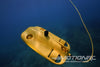 Chasing Gladius Mini S Submersible ROV Deluxe Flash Pack with 4K Video - RTR CHS40-30-400-0074