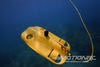 Chasing Gladius Mini S Submersible ROV with 4K Video - RTR CHS40-10-301-0033