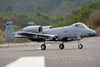 Freewing A-10 Thunderbolt II Super Scale Twin 80mm EDF Jet - PNP - (OPEN BOX) FJ31112P(OB)