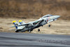 Freewing F-14 Tomcat Twin 80mm EDF Jet - ARF PLUS FJ30811A+