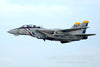 Freewing F-14 Tomcat Twin 80mm EDF Jet - ARF PLUS FJ30811A+