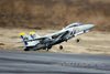 Freewing F-14 Tomcat Twin 80mm EDF Jet - PNP FJ30812P