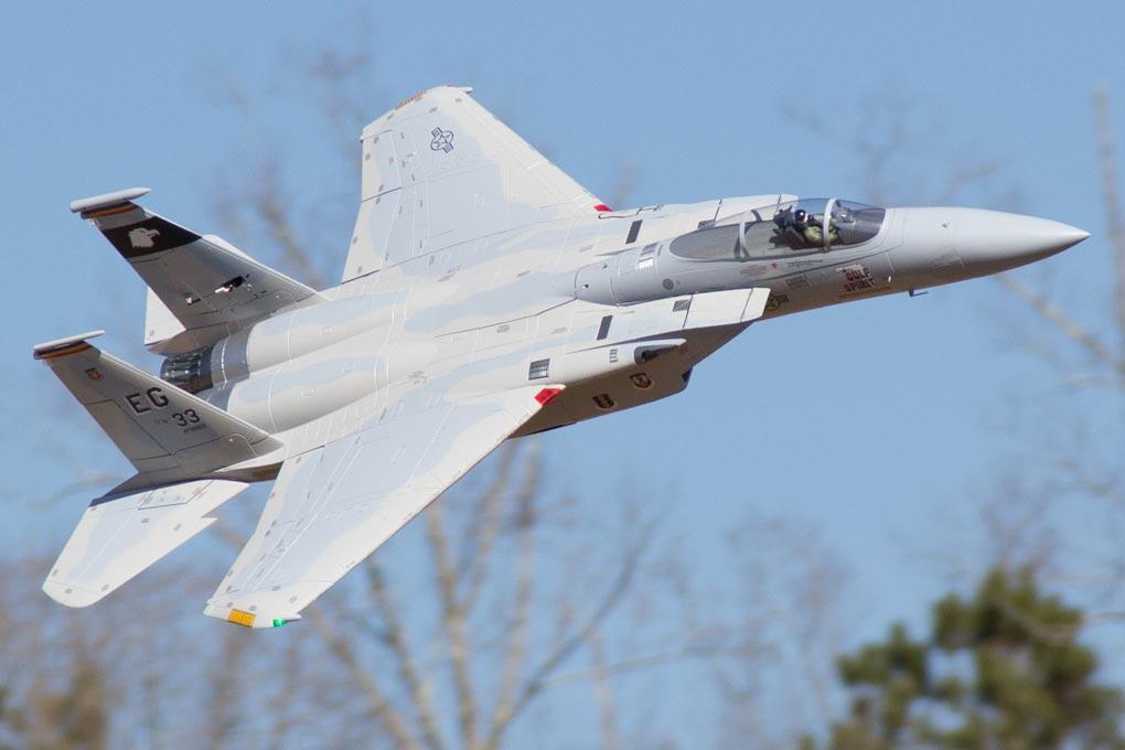 Freewing F-15C Eagle Super Scale High Performance 90mm EDF Jet - PNP FJ30913P