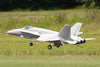 Freewing F/A-18C Hornet "Gray Diamonds" 90mm EDF Jet - ARF PLUS FJ31421A+(PG)