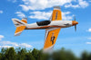 Freewing Moray Sport Racer Orange 800mm (32") Wingspan - PNP FS10221P