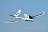 Freewing Seagull 4-in-1 Prop and EDF 1400mm (55") Wingspan - PNP FG20113P