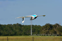 Load image into Gallery viewer, Freewing Seagull 4-in-1 Prop and EDF 1400mm (55&quot;) Wingspan - PNP FG20113P
