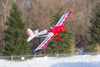 Freewing Spacewalker 1120mm (44") Wingspan - PNP FT10111P