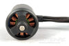 Skynetic 1400mm Shrike Glider 2839-1400Kv Brushless Motor SKY6000-002