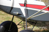 Skynetic Bison XT STOL V1 1750mm (68.8") Wingspan - PNP - (OPEN BOX) SKY1043-001(OB)