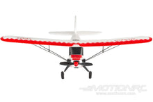 Load image into Gallery viewer, Skynetic Cub 505mm (19.8&quot;) Wingspan - RTF SKY1049-001
