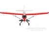 Skynetic Cub 505mm (19.8") Wingspan - RTF SKY1049-001