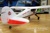 Skynetic Cub 505mm (19.8") Wingspan - RTF SKY1049-001