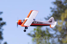 Load image into Gallery viewer, XK DHC-2 Beaver A600 with Gyro 580mm (22.8&quot;) Wingspan - FTR WLT-A600B
